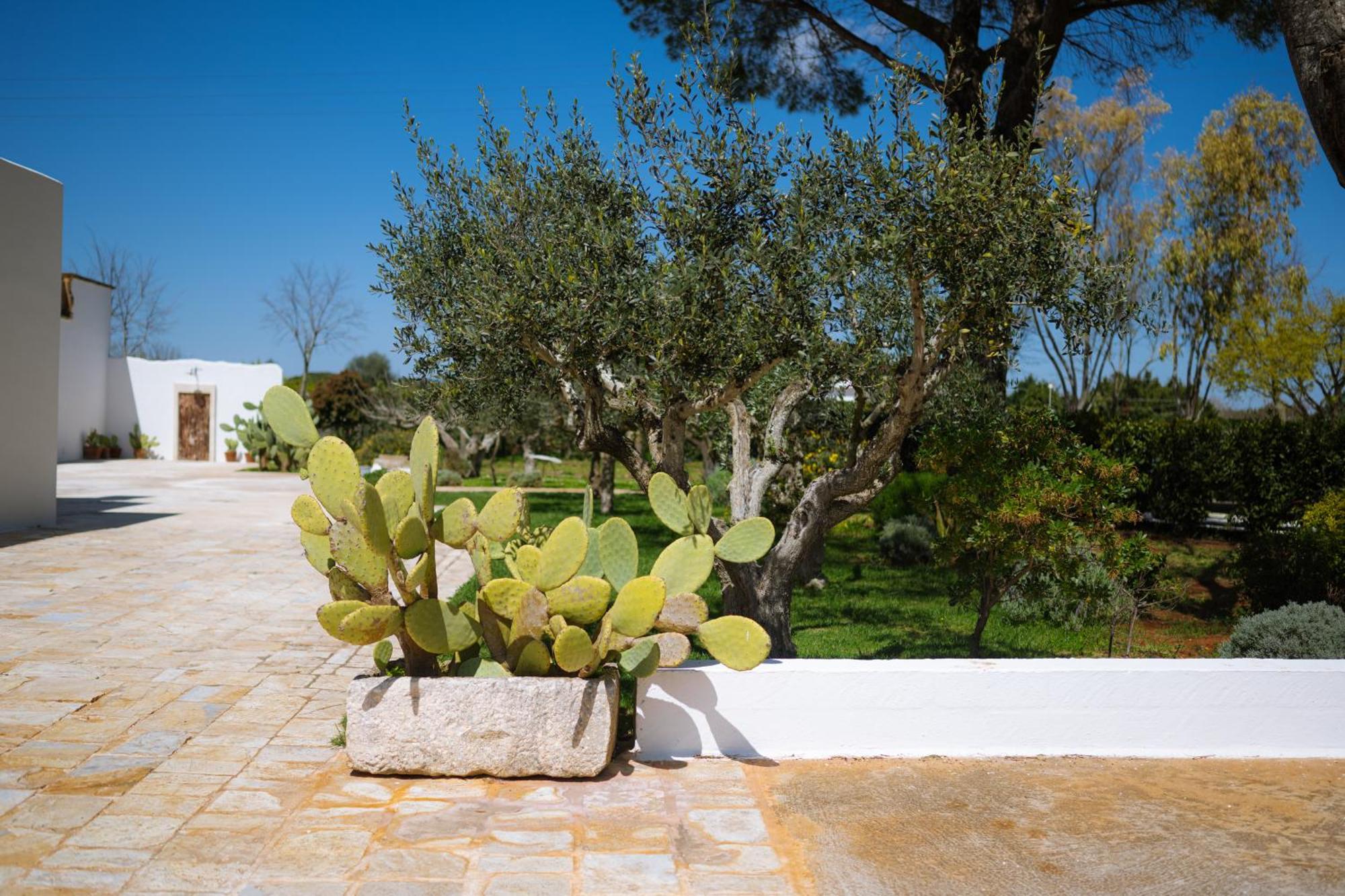 Masseria San Michele Martina Franca Eksteriør billede